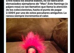 Enlace a Si tienes alguno de estos 11 peluches, podrías sacarte un buen dinero