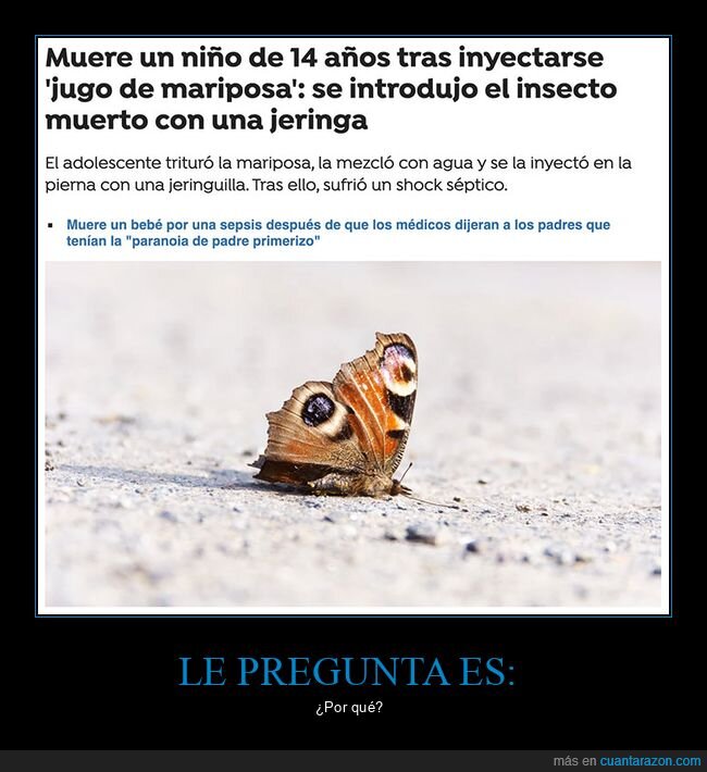 inyectarse,mariposa,wtf