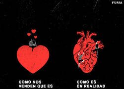 Enlace a Lo que nos venden VS Realidad