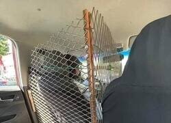 Enlace a Verja de seguridad