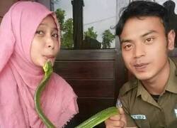 Enlace a Parece que le gusta...