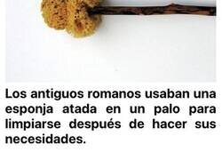 Enlace a Repugnantes objetos que nuestros antepasados tenían que usar antes de que se inventase el papel higiénico