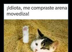 Enlace a Pequeña confusión