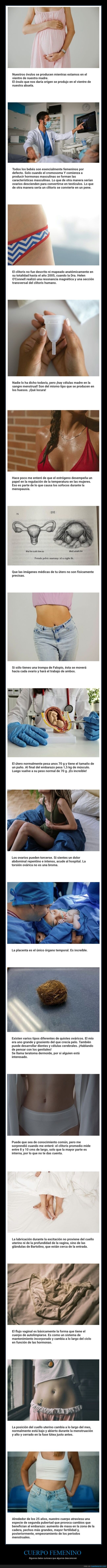 cuerpo femenino,datos,curiosidades