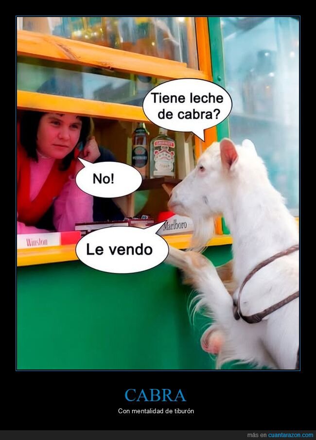 cabra,leche,vender