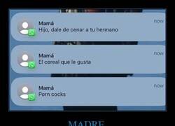 Enlace a El cereal que le gusta