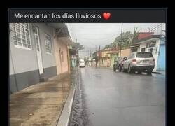 Enlace a Arrastrado por la lluvia
