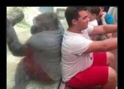 Enlace a Reflejo revelador