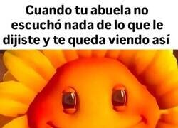 Enlace a Mirada de abuela