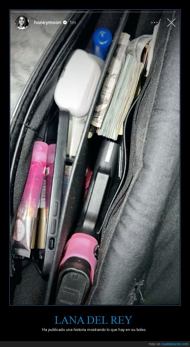 lana del rey,bolso,pistola