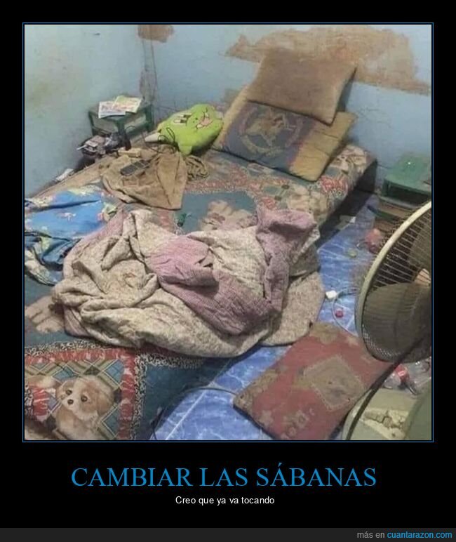 asco,cama,sábanas