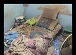 Enlace a Lo ha ido dejando...