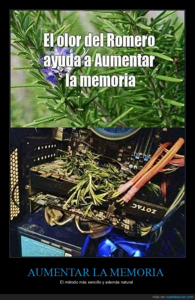 aumentar,memoria,olor,ordenador,romero