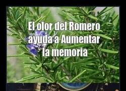 Enlace a Cómo aumentar la memoria