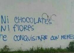 Enlace a Conquistador