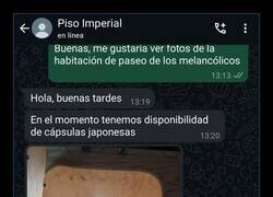 Enlace a Ataúd de ocasión