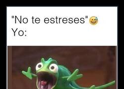 Enlace a Cuando te dicen que no te estreses