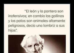 Enlace a Animales inofensivos y peligrosos