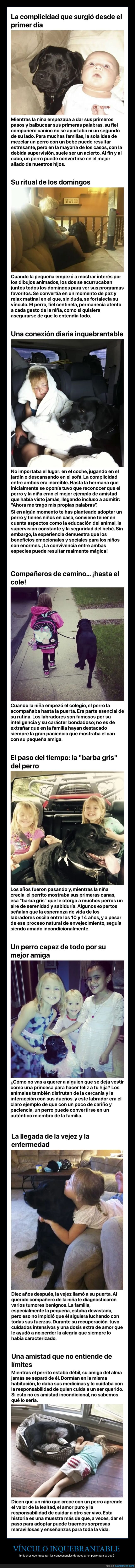 perro,bebé