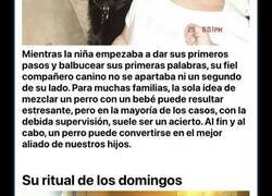 Enlace a Imágenes que muestran las consecuencias de adoptar un perro para tu bebé
