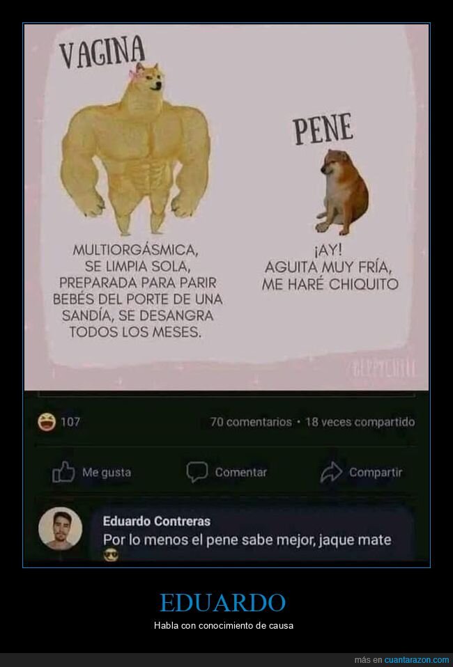 comentarios,doge y cheems,sabor