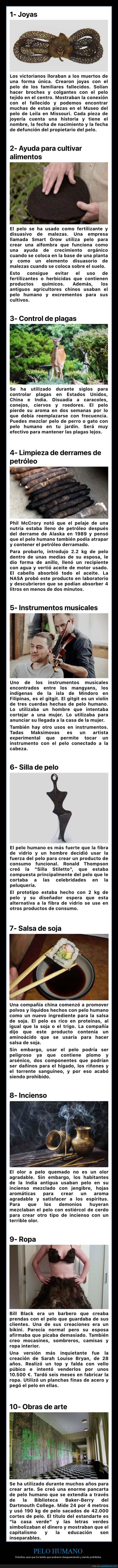 pulo humano,usos