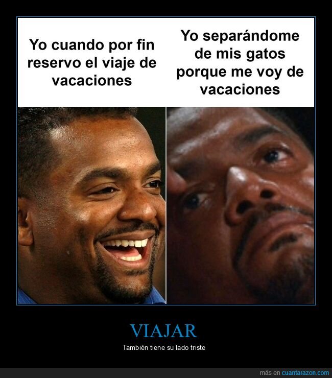 viaje,vacaciones,gato