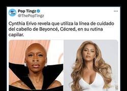 Enlace a Todo el cuidado que su pelo necesita