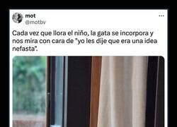Enlace a No le gusta la nueva incorporación a la familia