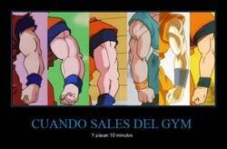 Enlace a Fases que pasas al salir del gym