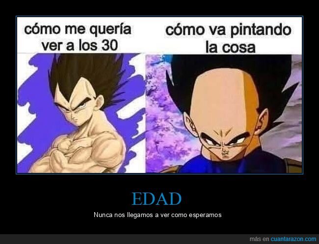 vegeta,30 años,expectativas,realidad