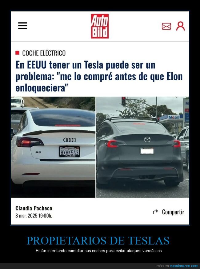 tesla,elon musk,camuflar