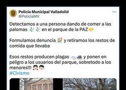 Enlace a Prioridades policiales