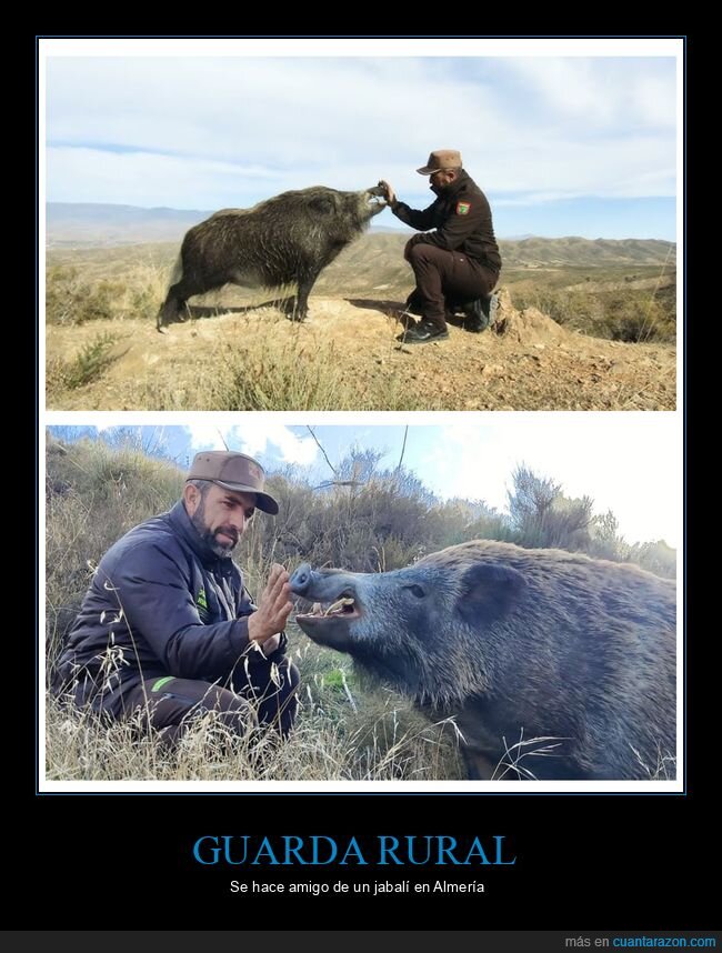 guarda rural,amigo,jabalí