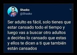 Enlace a Lo único que hace falta para ser adulto