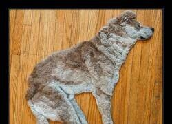 Enlace a Alfombras de perro realistas