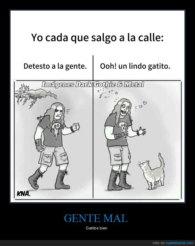 salir,calle,gente,gato