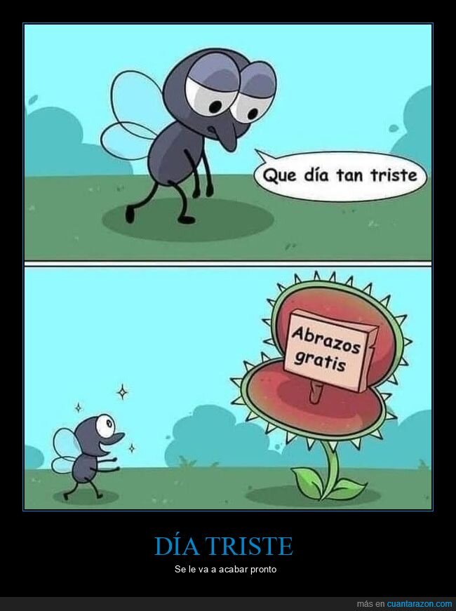 mosca,triste,atrapamoscas,abrazos gratis