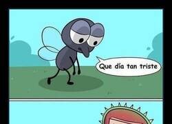 Enlace a Justo lo que necesitaba ese día