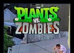 Enlace a Plantas VS Zombies en la vida real