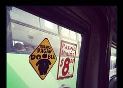 Enlace a Autobús gordófobo