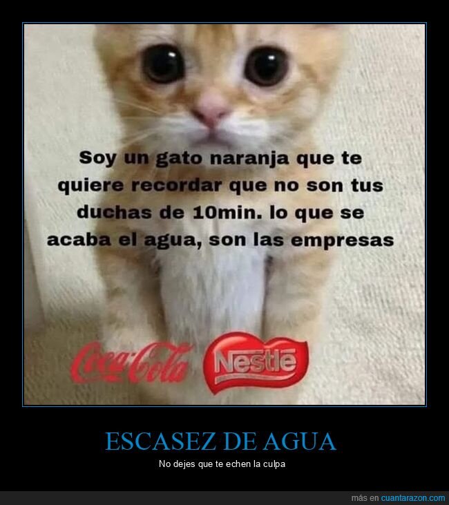 agua,escasez,duchas,empresas,cocacola,nestle
