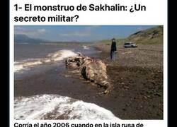 Enlace a Extraños descubrimientos de criaturas y cosas que encontraron en la playa y que se fueron sin dejar rastro