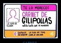 Enlace a Carnet merecido