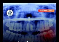 Enlace a La regeneración de dientes está a la vuelta de la esquina