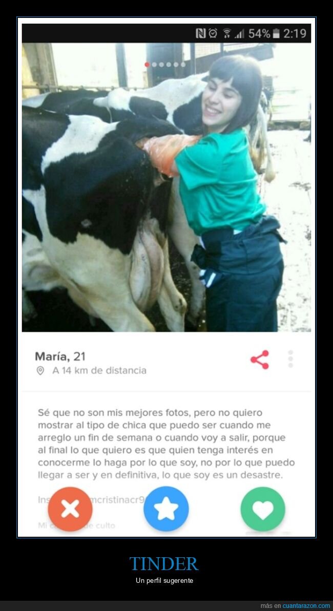 tinder,vaca,wtf
