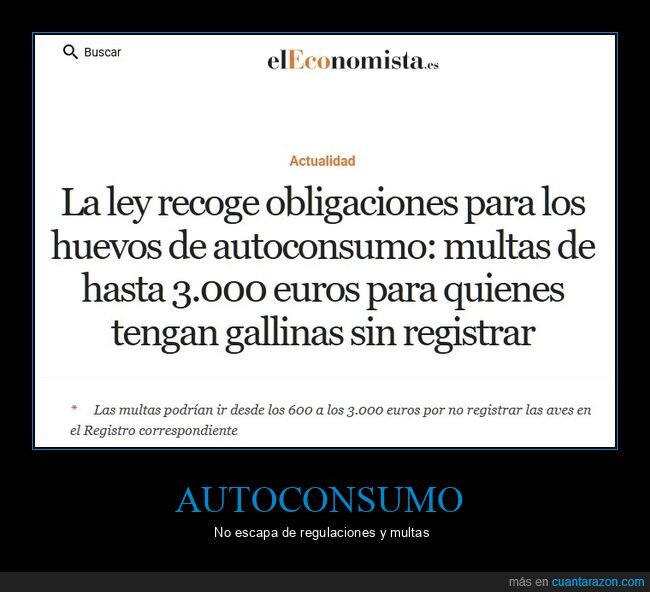 huevos,autoconsumo,multas,gallinas
