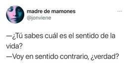 Enlace a ¿Cuál es el sentido de la vida?