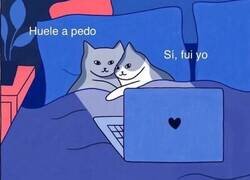 Enlace a Amor del bueno