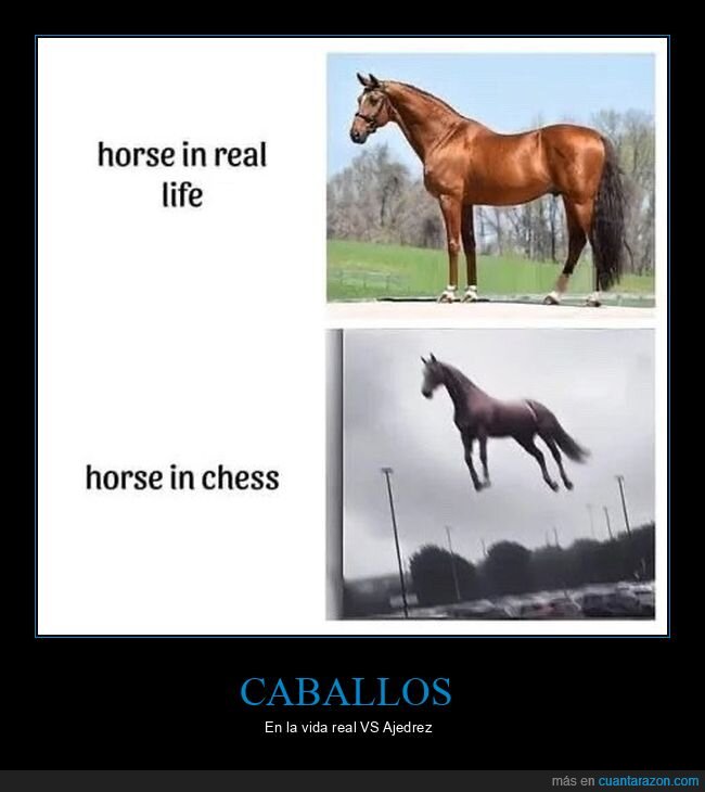 caballos,vida real,ajedrez